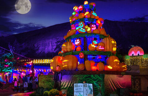 Visit the pumpkin festival
